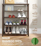 Multi-Functional 5-Tier Shoes Rack And Coat Hanger.